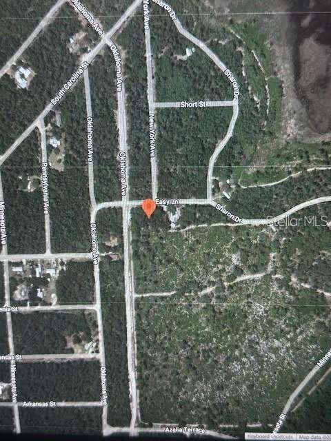 107 Easy Ln, Satsuma, FL 32189 - photo 1