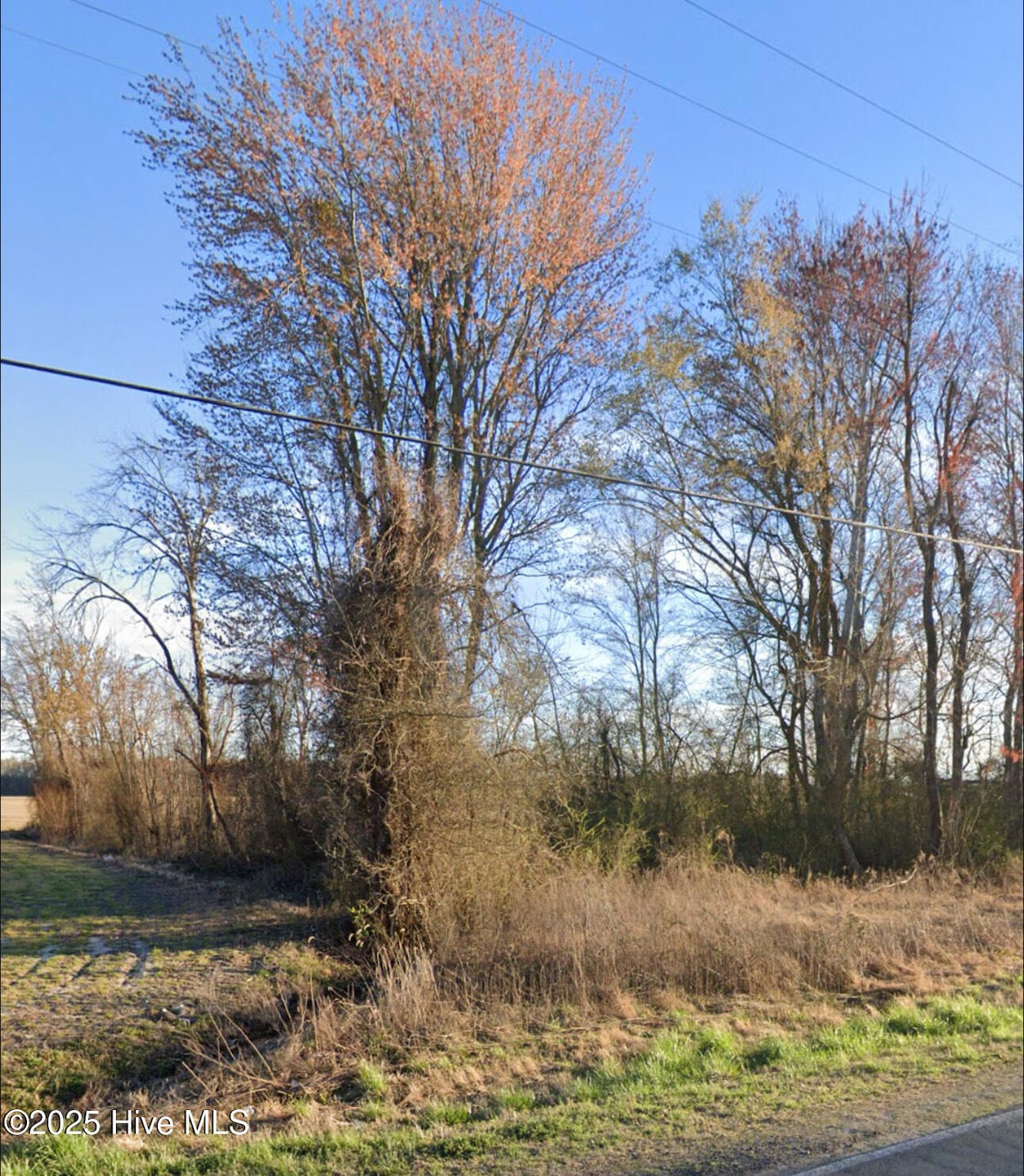 1464 Millpond Rd, Elizabeth City, NC 27909 - photo 1