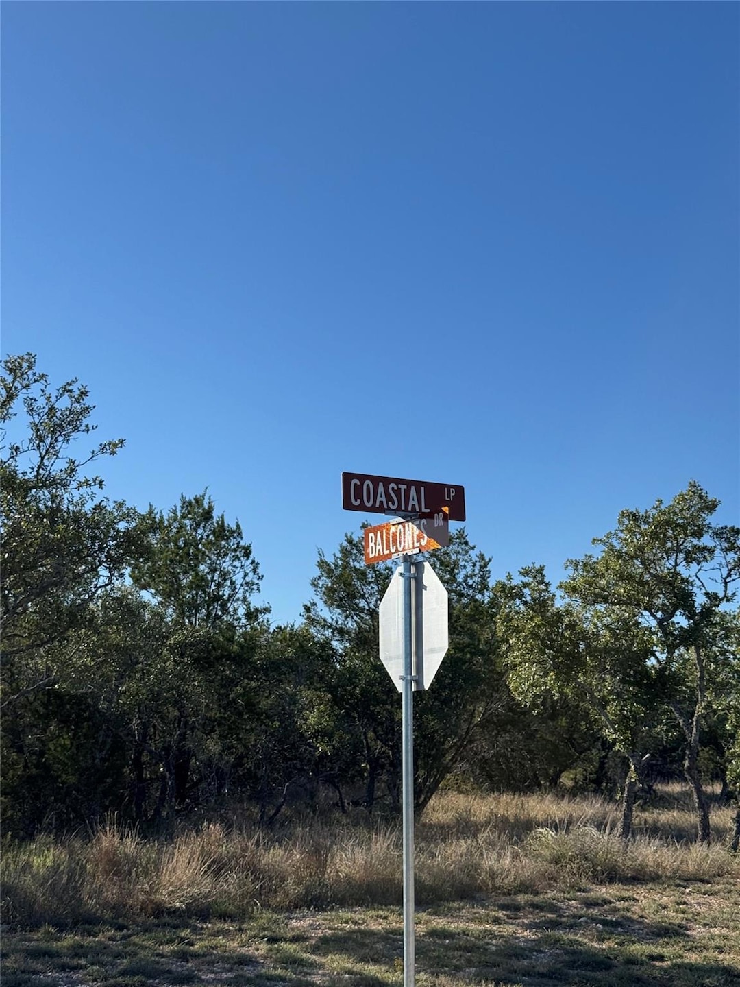 60 Coastal Loop, Johnson City, TX 78636 - photo 1