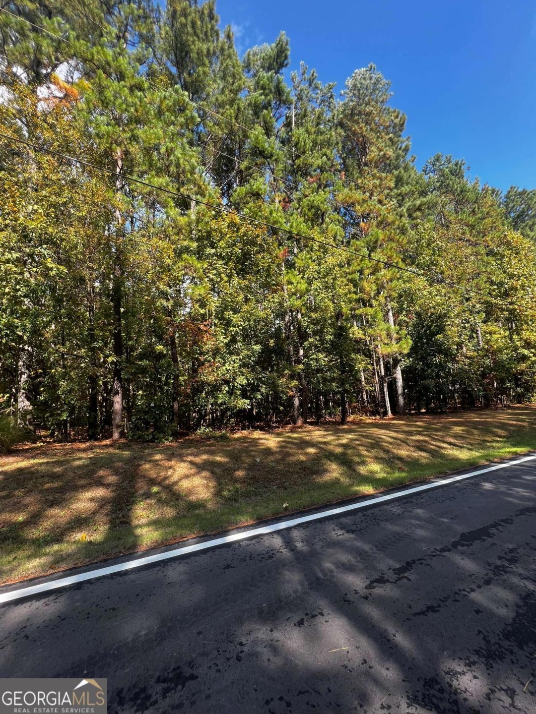 0 Honeysuckle Ln Unit 10216901, Temple, GA 30179