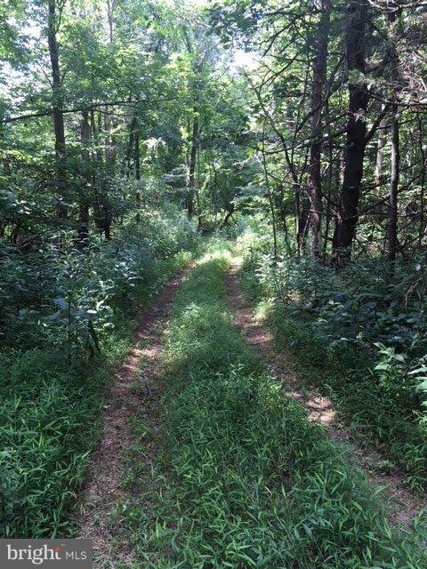 49 Tinderbox Ln, Winchester, VA 22603 - photo 1