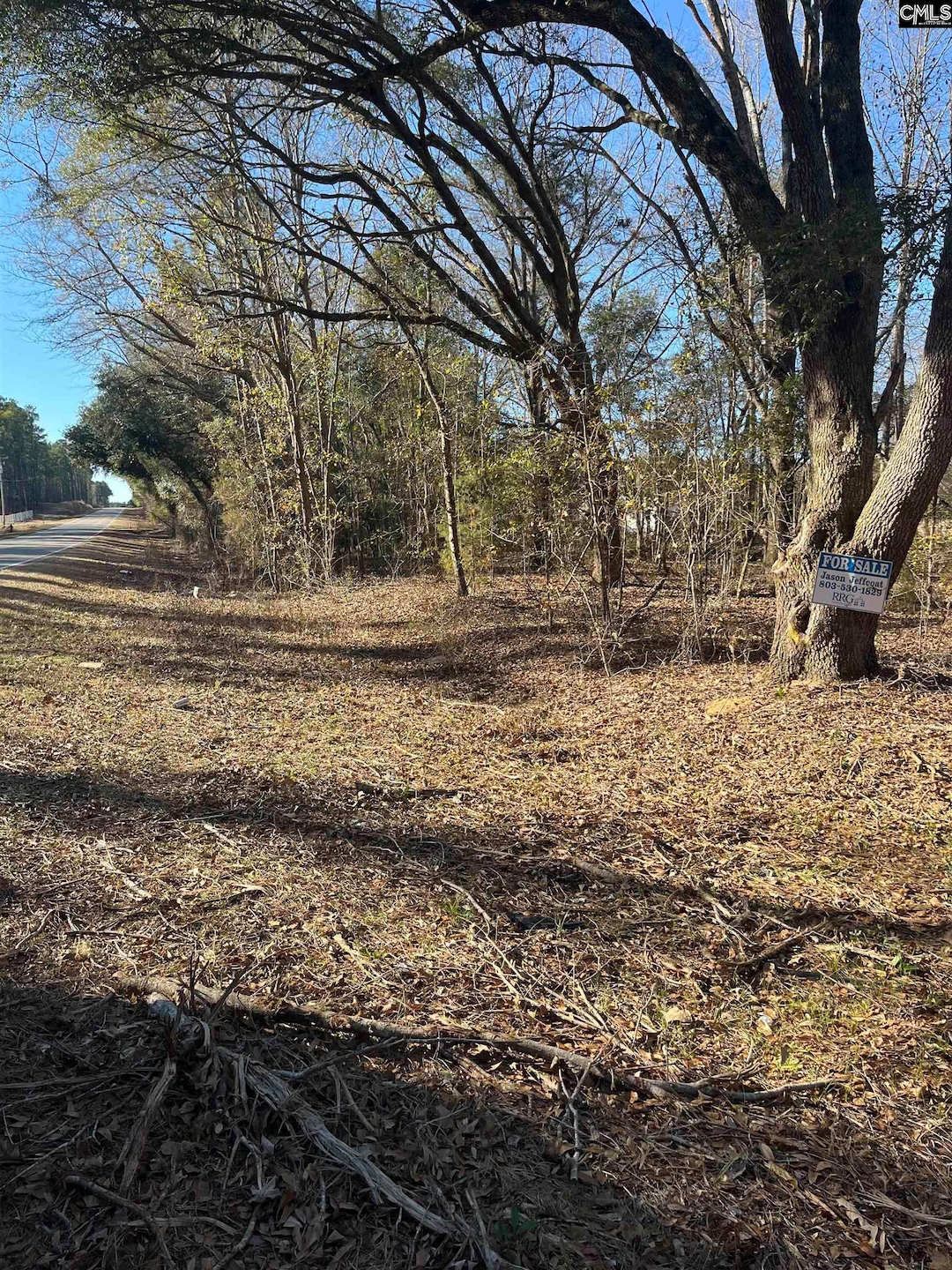 TBD Swansea Rd unit tract a, Swansea, SC 29160 - photo 1