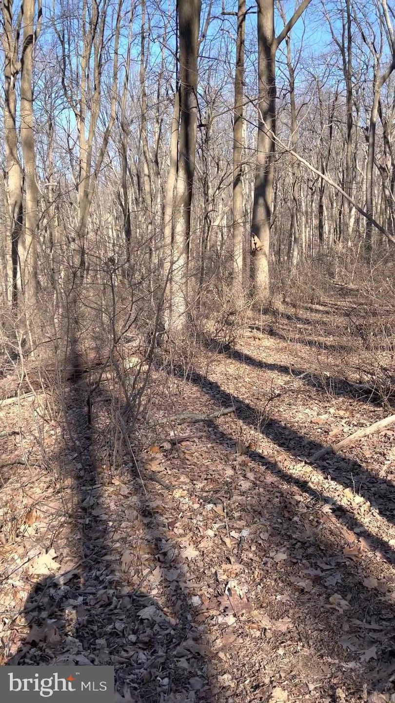 0 Moonshiner Way unit VAWR2004016, Linden, VA 22642 - photo 1