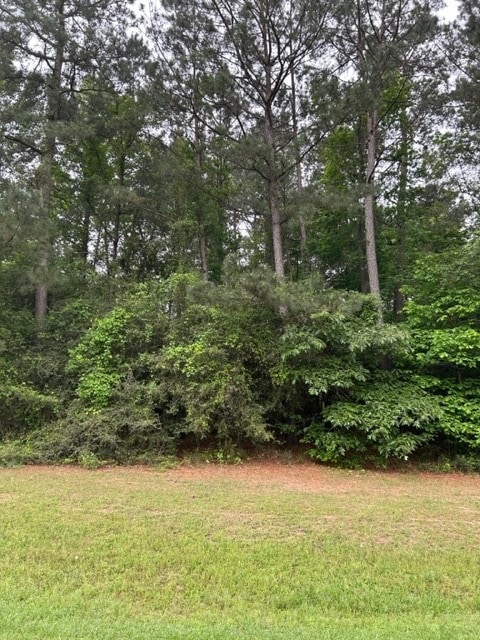 102 Ebner Lake Dr, Montgomery, TX 77316 - photo 1