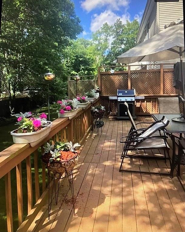 21 Hamlet St, Newton Center, MA 02459 - photo 1