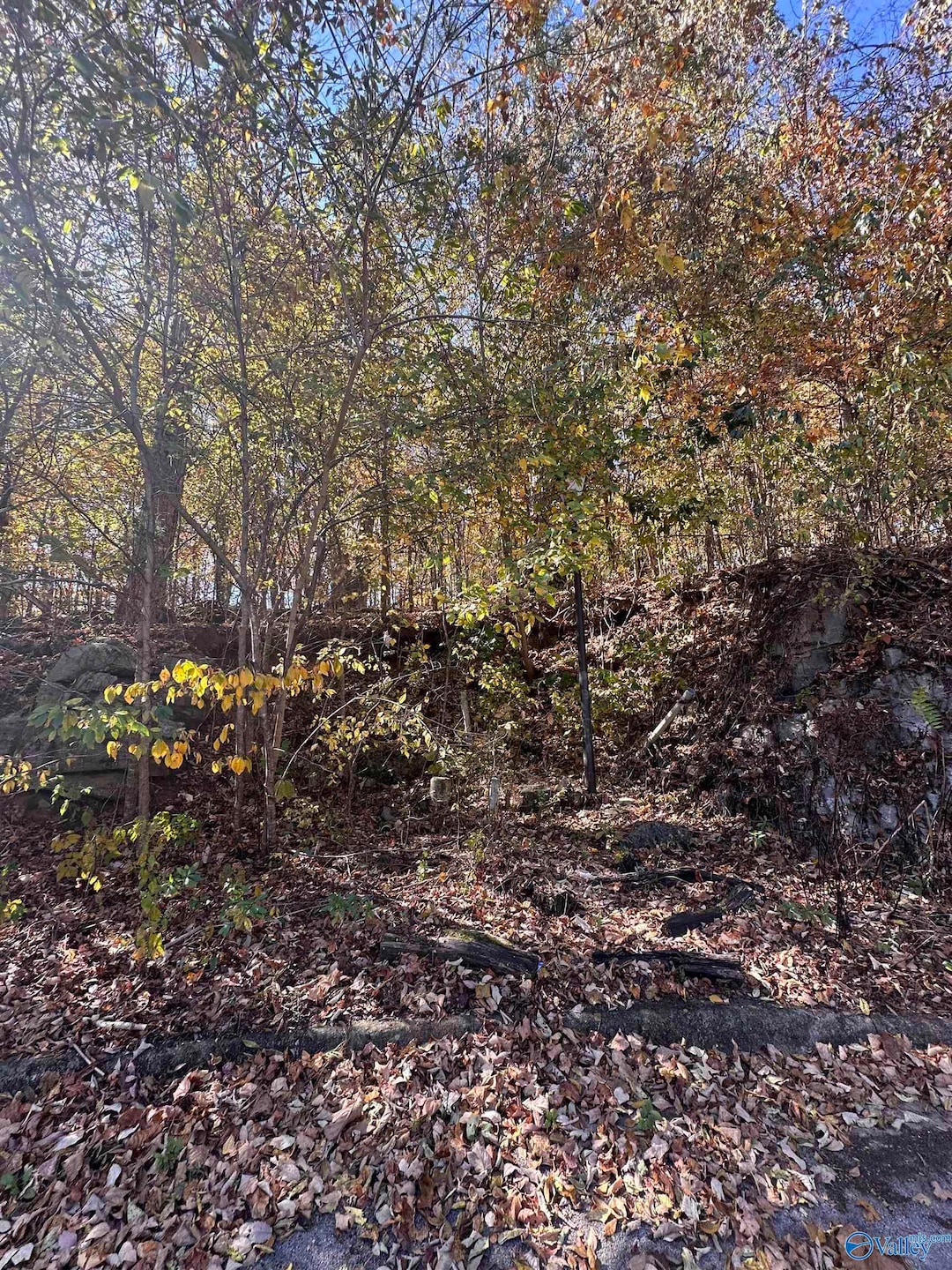 4622 Legacy Preserve Way SE, Brownsboro, AL 35741 - photo 1