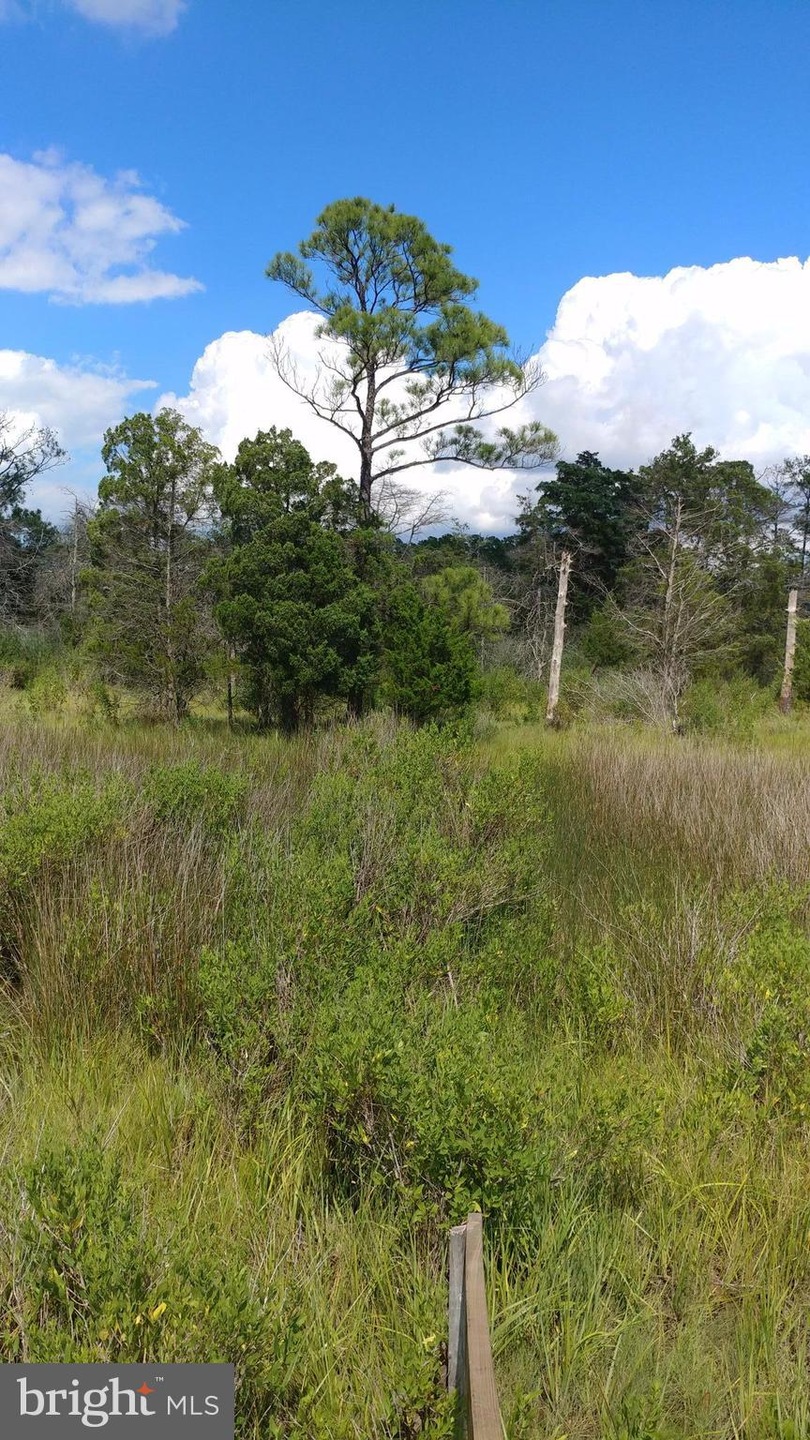0 Toddville Rd unit 1000100665, Toddville, MD 21672 - photo 1