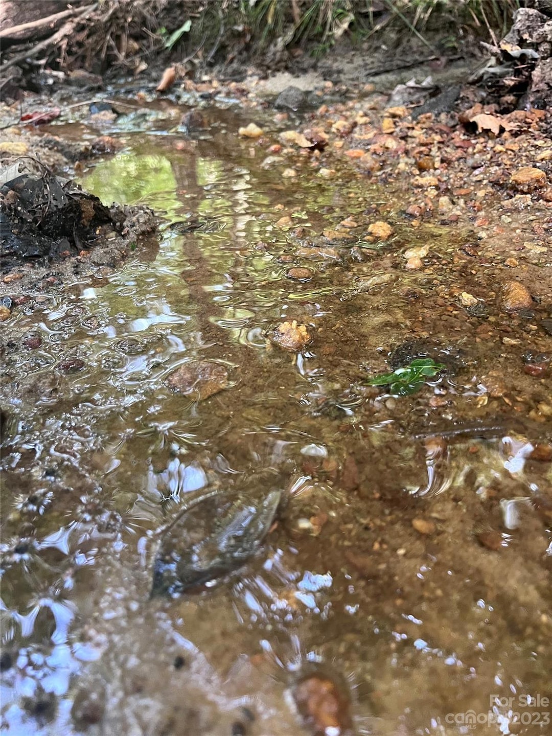 0 Shady Bark Ln unit 40 CAR4070380, Rutherfordton, NC 28139 - photo 1