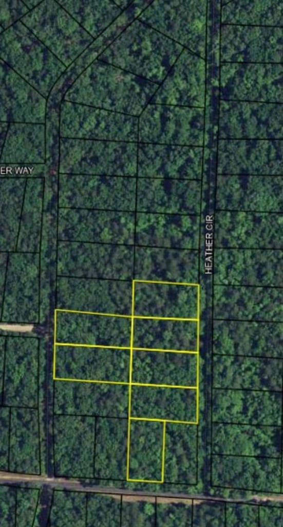 0 Heather Cir unit 216114, Waverly Hall, GA 31831 - photo 1