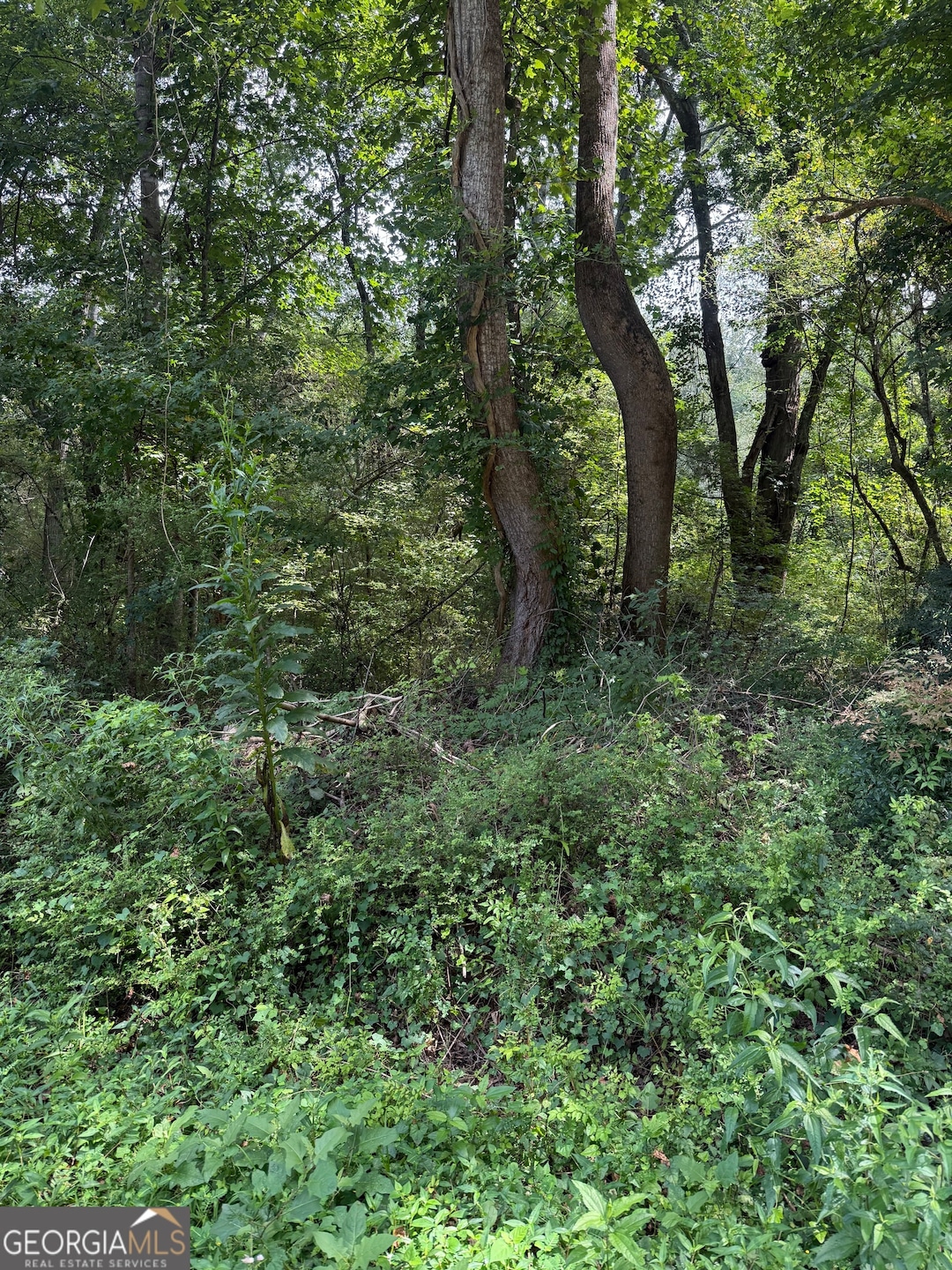 2924 Raintree Dr SE, Conyers, GA 30094 - photo 1