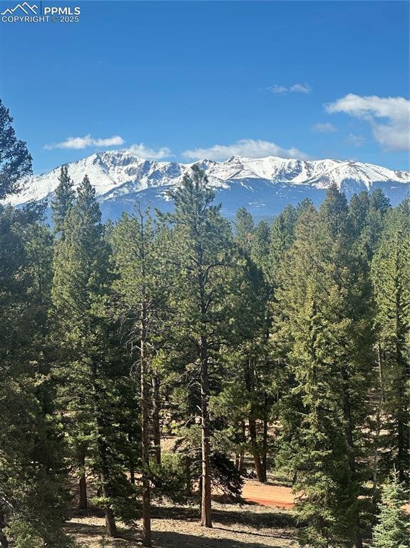 View of mountain backdrop with a forest