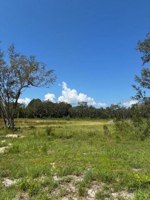 0 Lake Yale Rd unit MFRG5100985, Umatilla, FL 32784 - photo 1