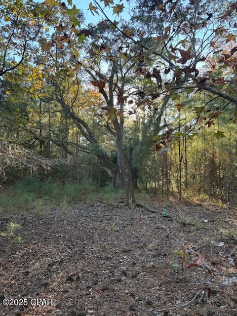 3389 Gainer Rd, Chipley, FL 32428 - photo 1