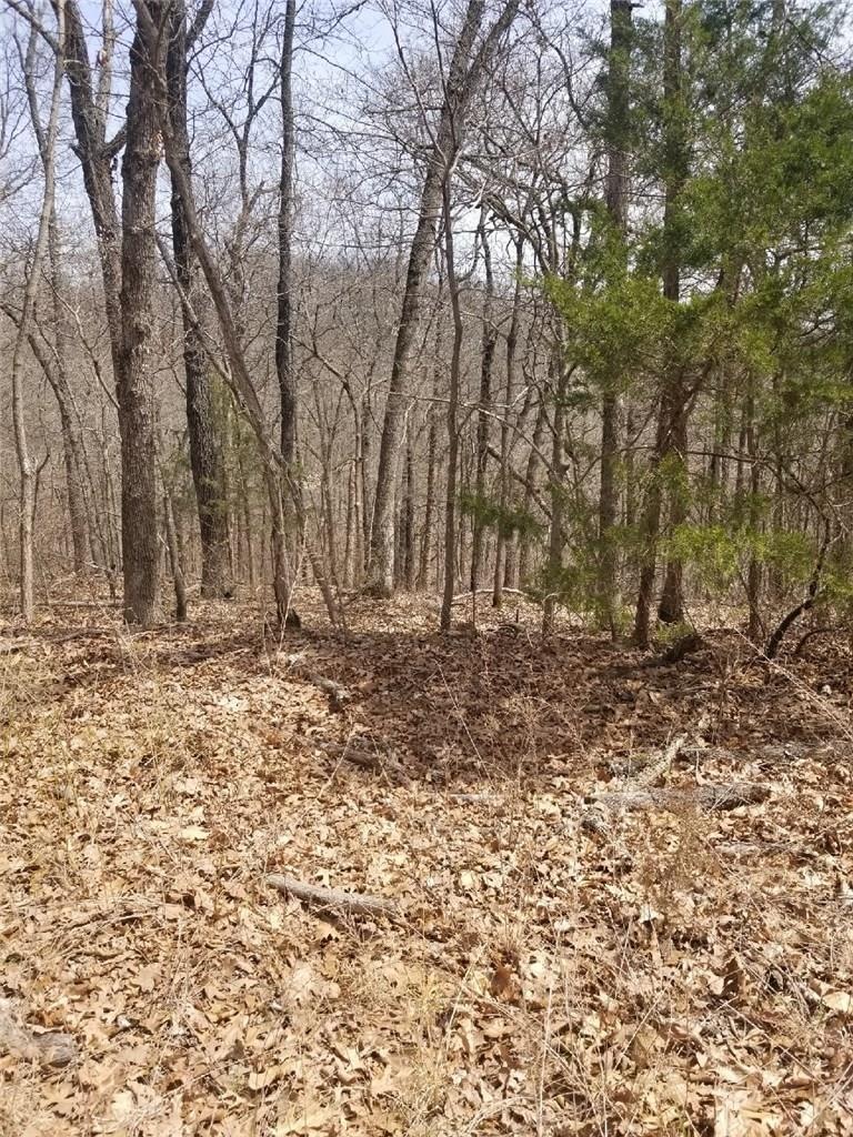 Lot 58 Hornsea Ln, Bella Vista, AR 72714 - photo 1