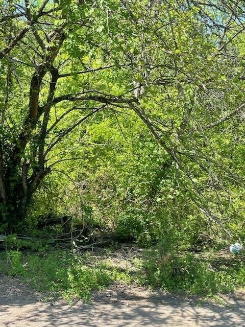 Lot 51 & 52 Cedar Ct 1