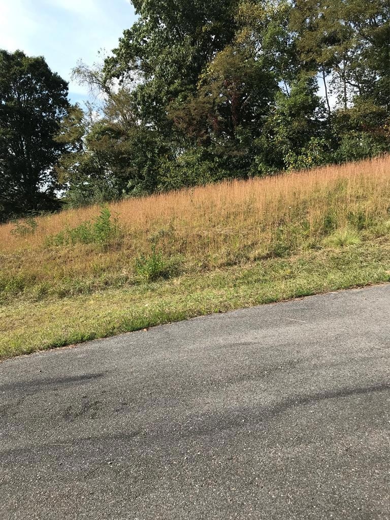 21 Christin Ln, Chilhowie, VA 24319 - photo 1