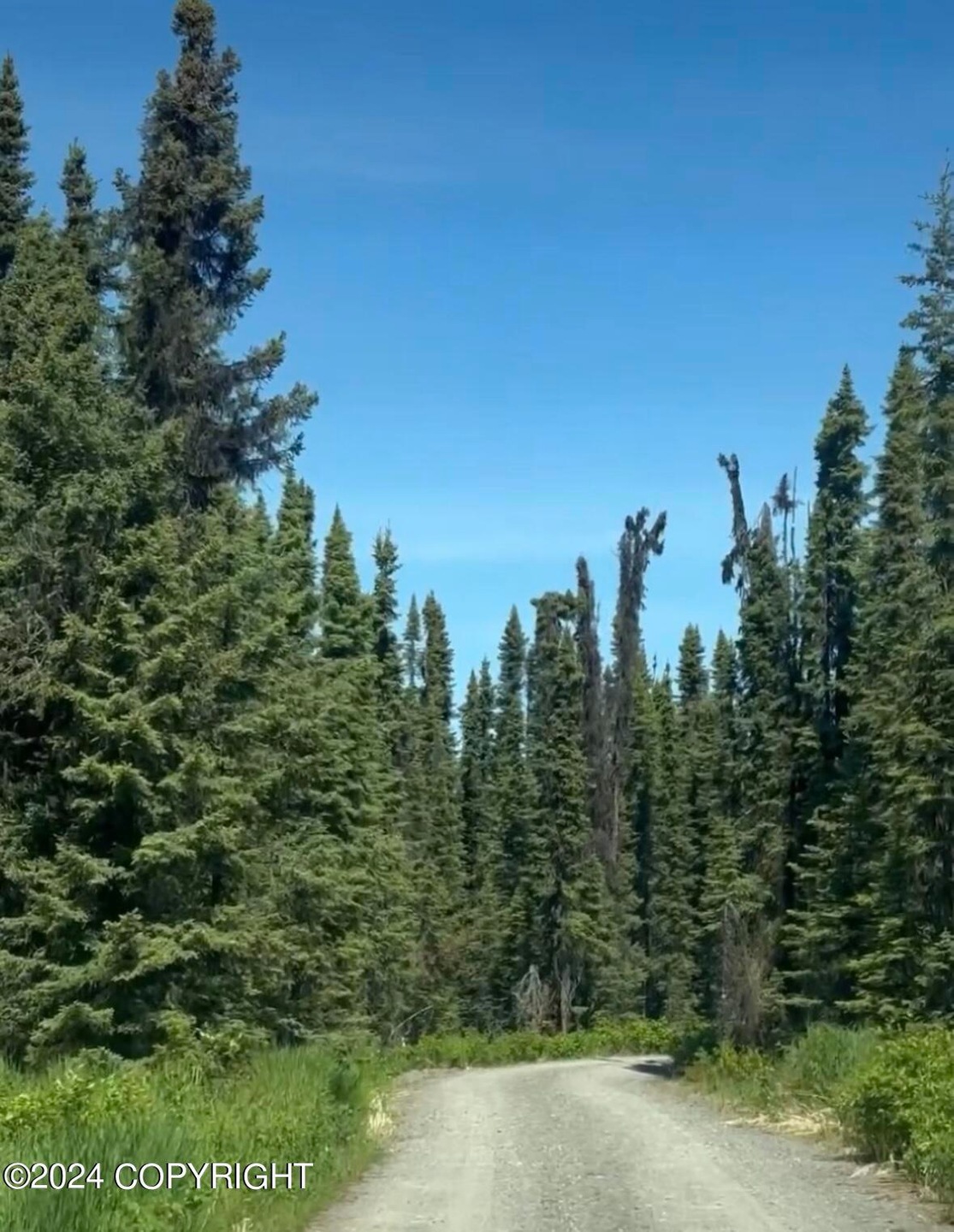 Road in to L4
