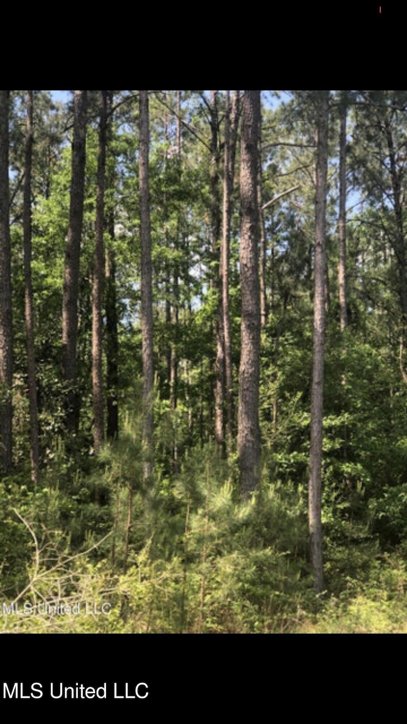 No Shows Rd, Waynesboro, MS 39367 - photo 1