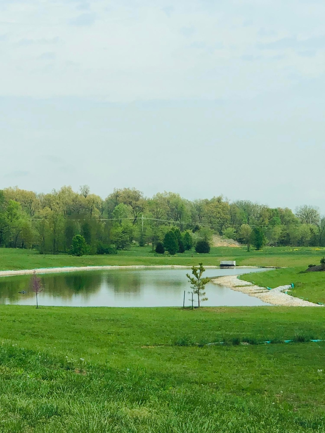 Lot 124 Village of Ashford, Nixa, MO 65714 - photo 1