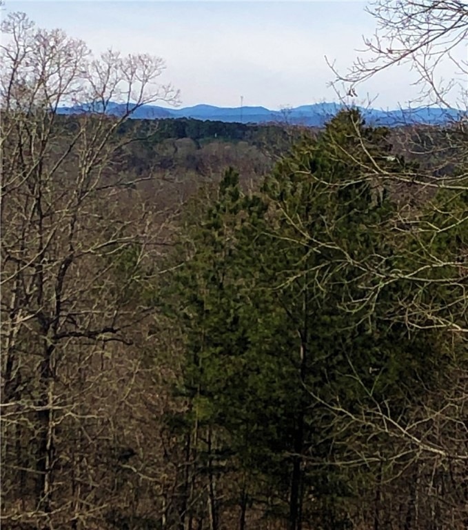 View from the back deck/screened porch of your new