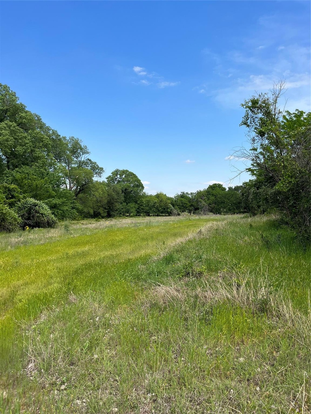 TBD Lot 92, Poolville, TX 76487 - photo 1