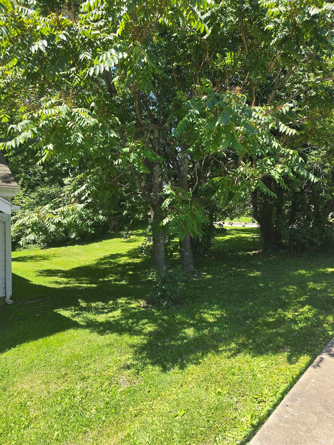 1103b W 11th St, Bloomington, IN 47404 - photo 1