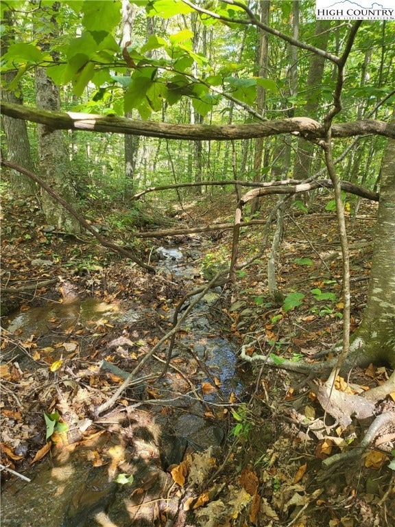 Enjoy the sounds of your own stream right on the p