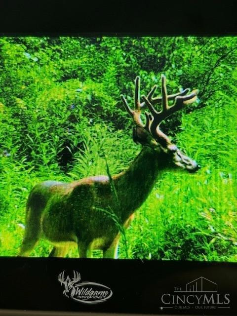 For Sale $290,000