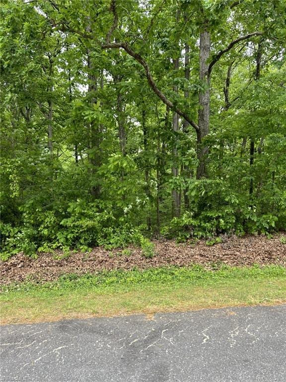 5909 Dehaven Rd, Pleasant Garden, NC 27313 - photo 1