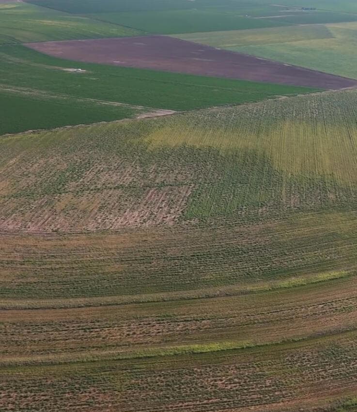 0 Wilson Farms unit 202560803, Wilson, TX 79381 - photo 1