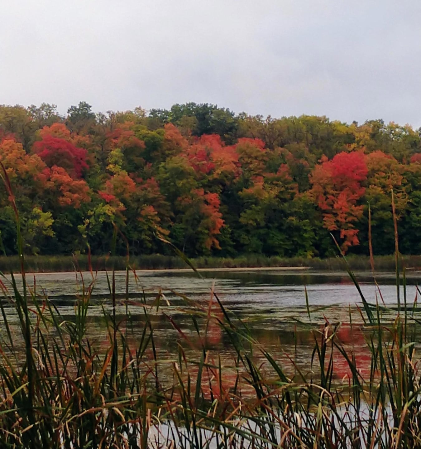 XXX Maple Island Dr SE, Hudson Township, MN 56334 - photo 1