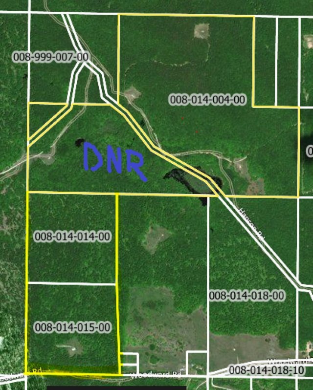 00 Woodward Rd, Vanderbilt, MI 49795 - photo 1