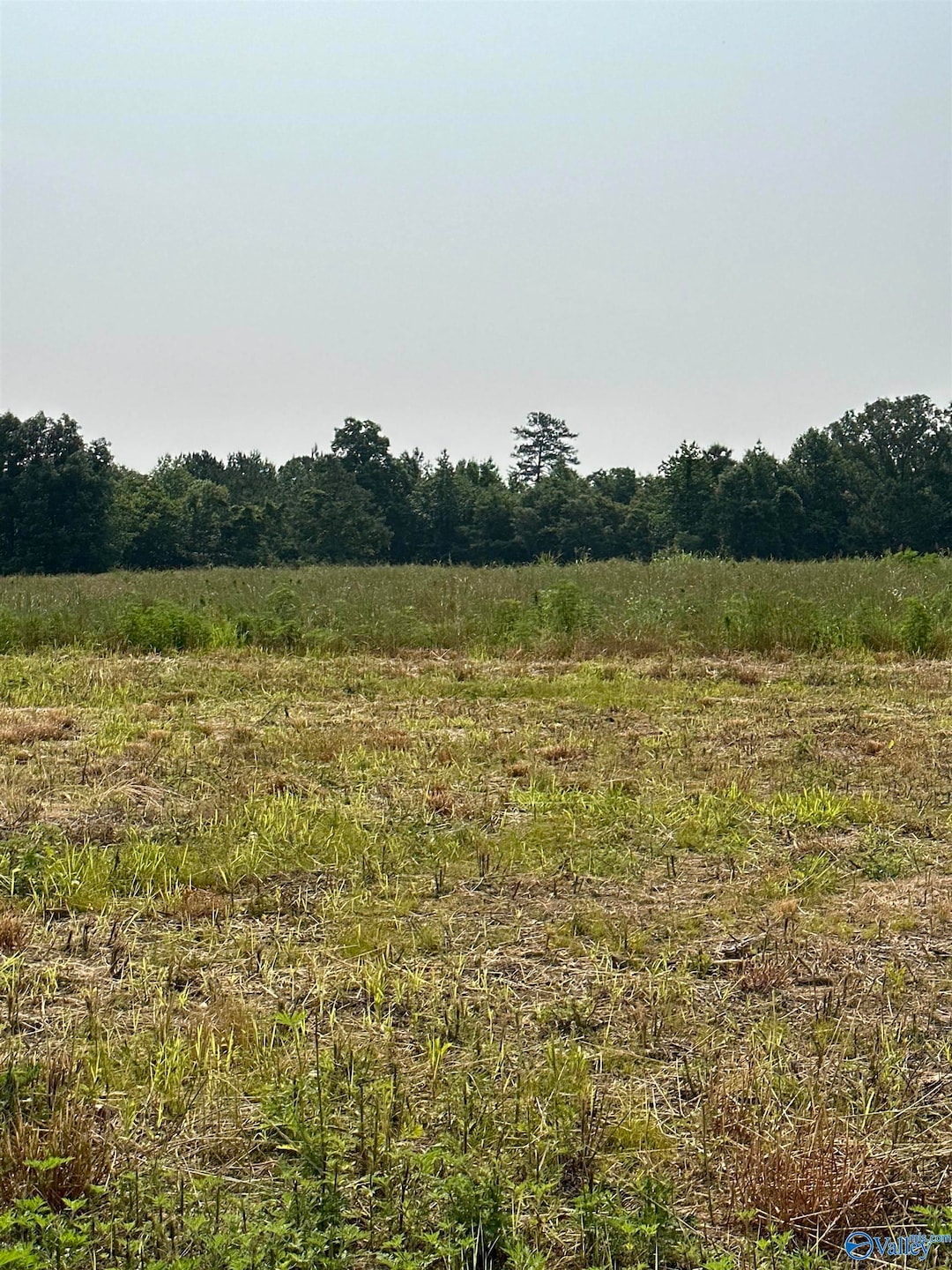 Tract 35 Hays Mill Rd, Elkmont, AL 35620 - photo 1