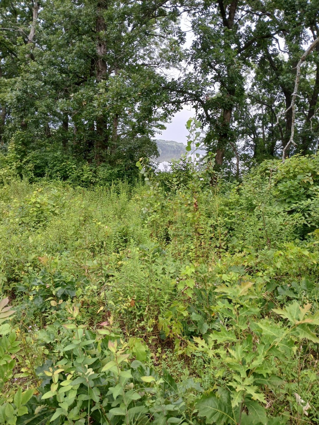 Sold $67,500 • Co-Listing Agent