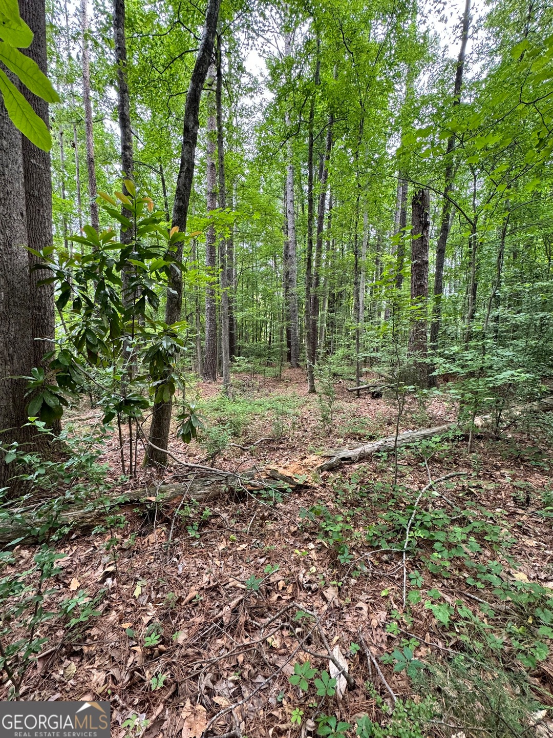 0 E Stubbs Rd unit 10308871, South Fulton, GA 30349 - photo 1