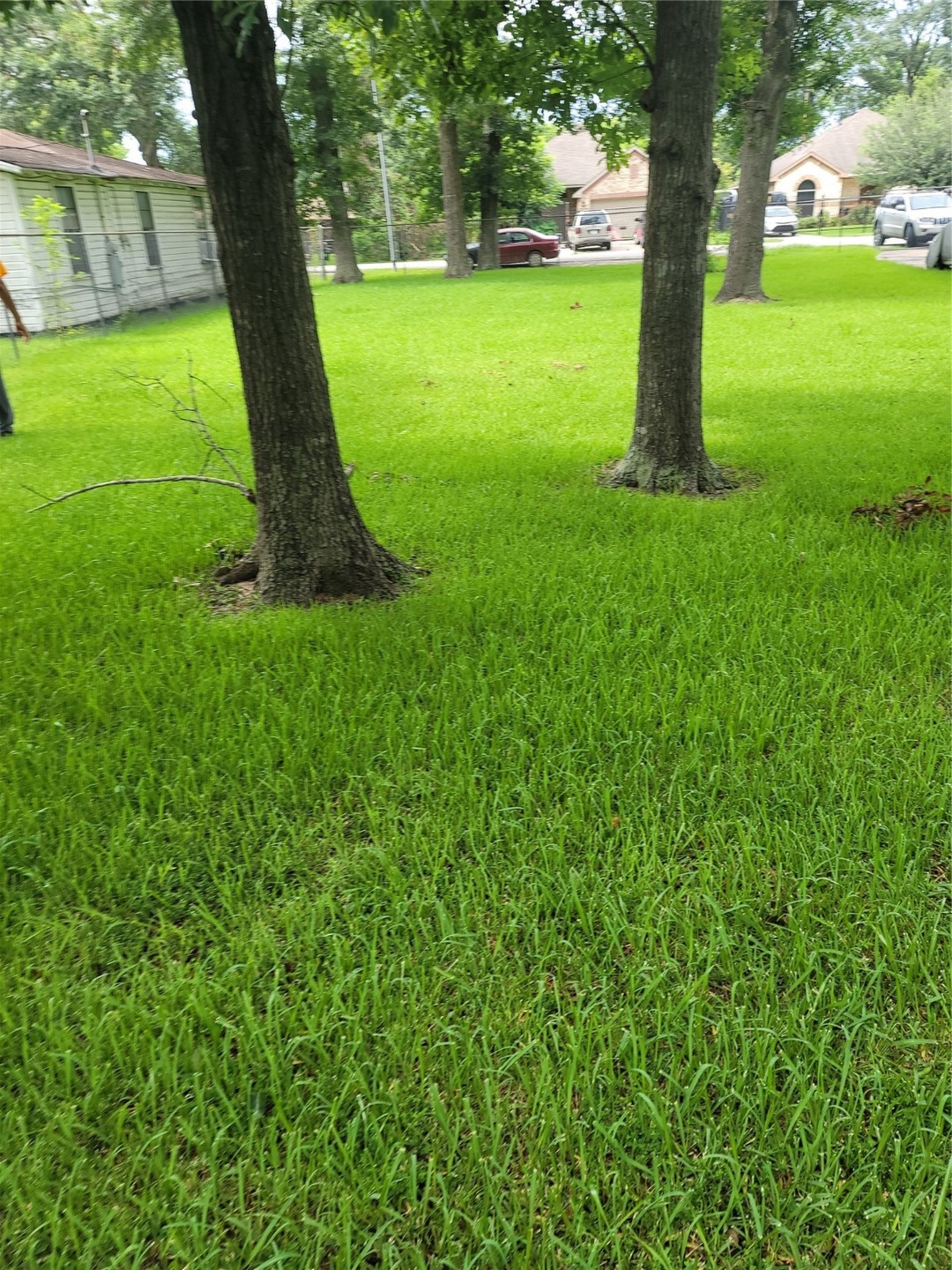 2519 Areba St St, Houston, TX 77091 - photo 1