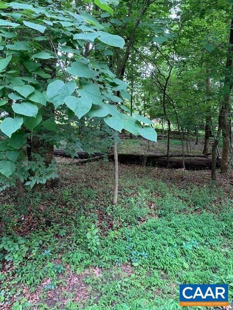 0 Chapel Hill Rd unit 591717, Charlottesville, VA 22901 - photo 1