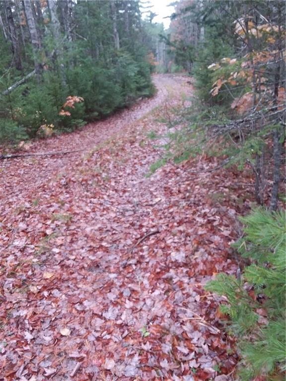 Road into the property from Manktown Rd.