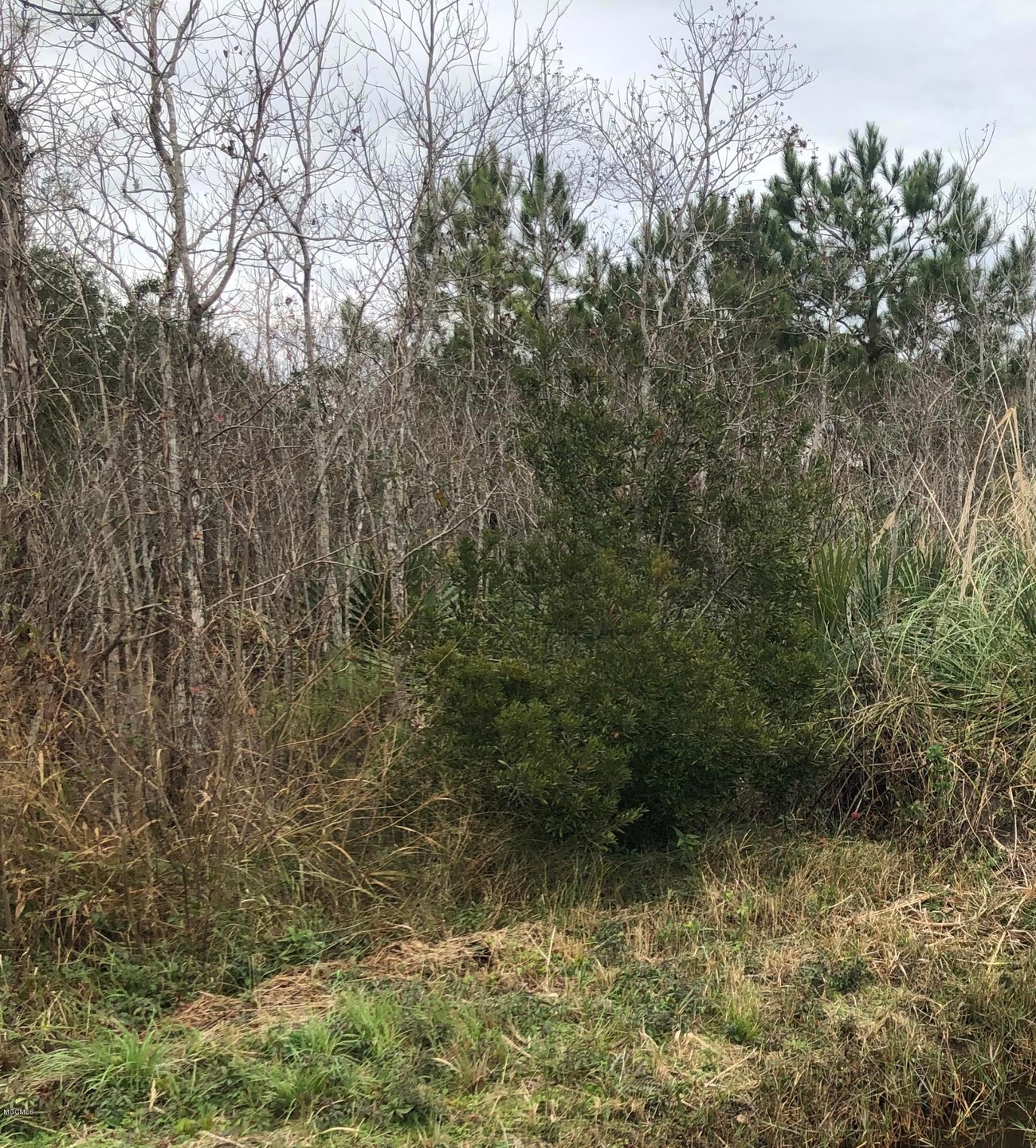 480FF2E6-94F5-4B27-A6E4-EA7BC3357C3D