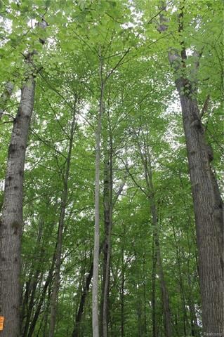 IMG_5454.JPG