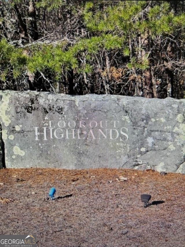 49 Challenger Way, Menlo, GA 30731 - photo 1