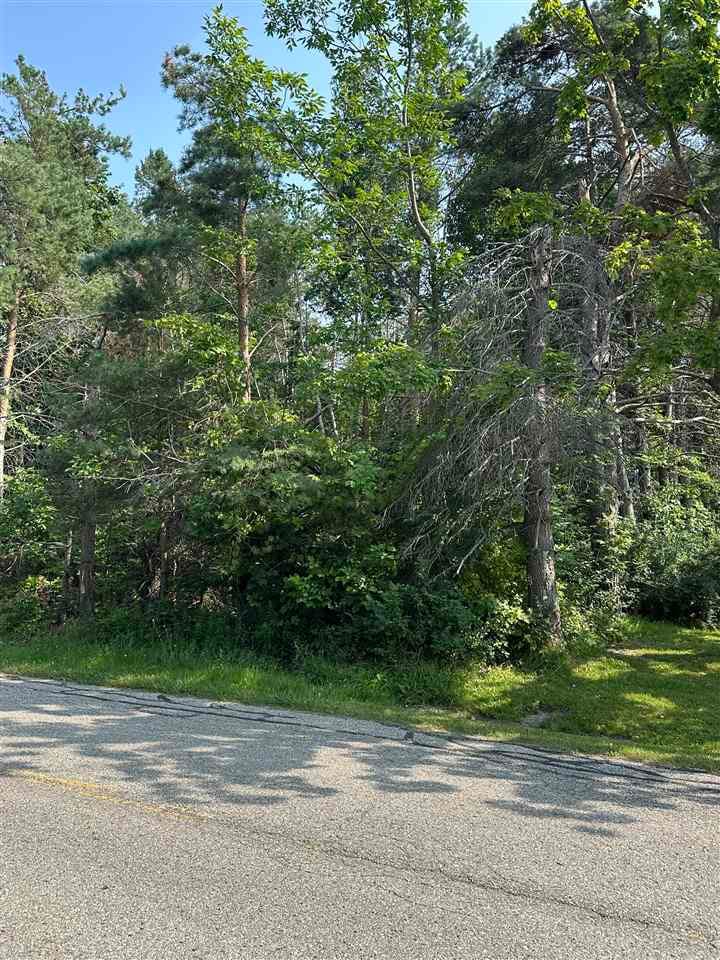 TBD Sheridan, Petoskey, MI 49770 - photo 1