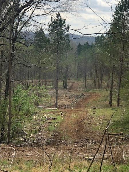 Level entrance onto 29 acres tucked away on a litt