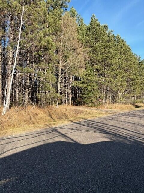 10030 W Moose Lake Rd, Round Lake, WI 54843 - photo 1