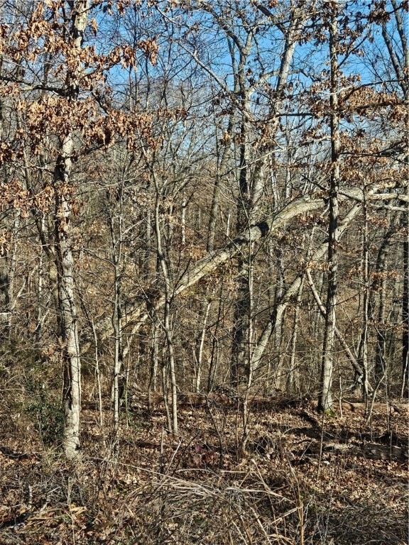 0 Wootton Dr unit Lot 9 1267045, Bella Vista, AR 72715 - photo 1