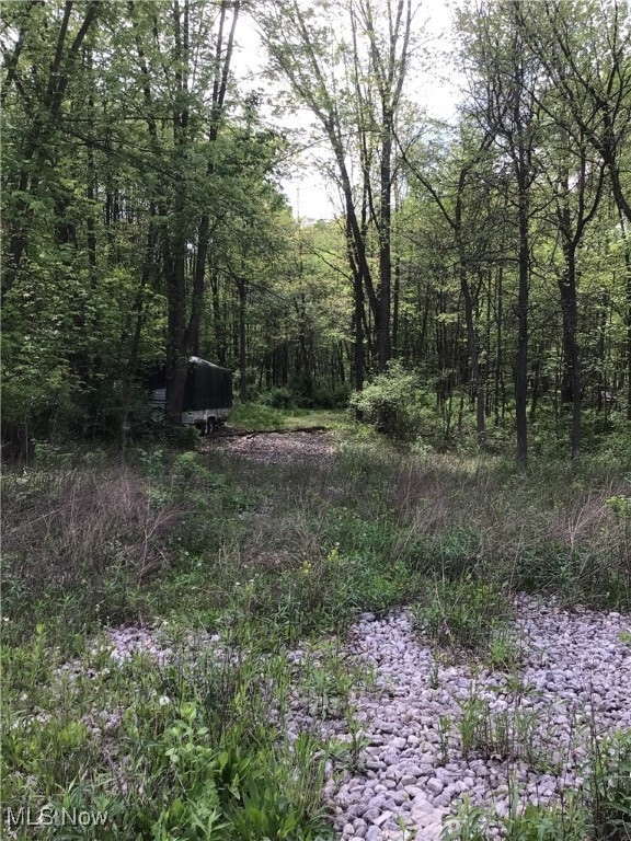 0000 Ravenna Chapel Ave SE, Waynesburg, OH 44688 - photo 1