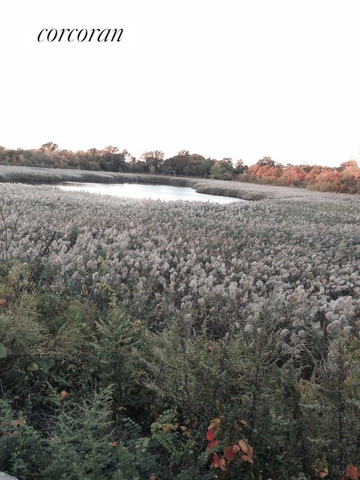 180 Jamaica Ave, Brooklyn, NY 11207 - photo 1