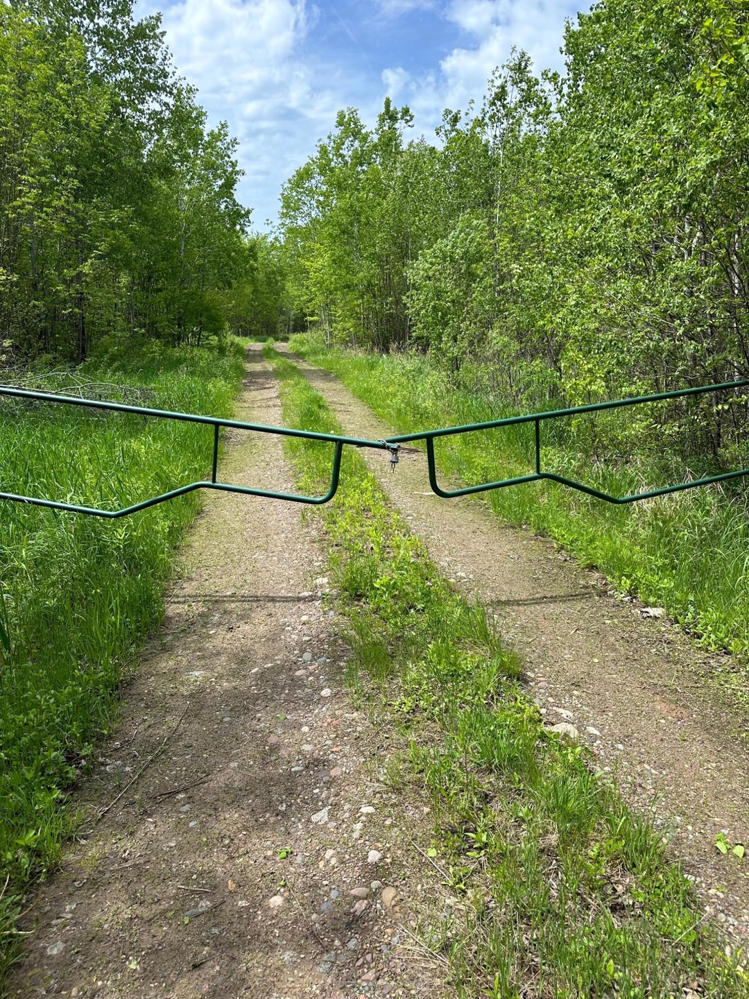 ON Forest Road 503, Phillips, WI 54555 - photo 1