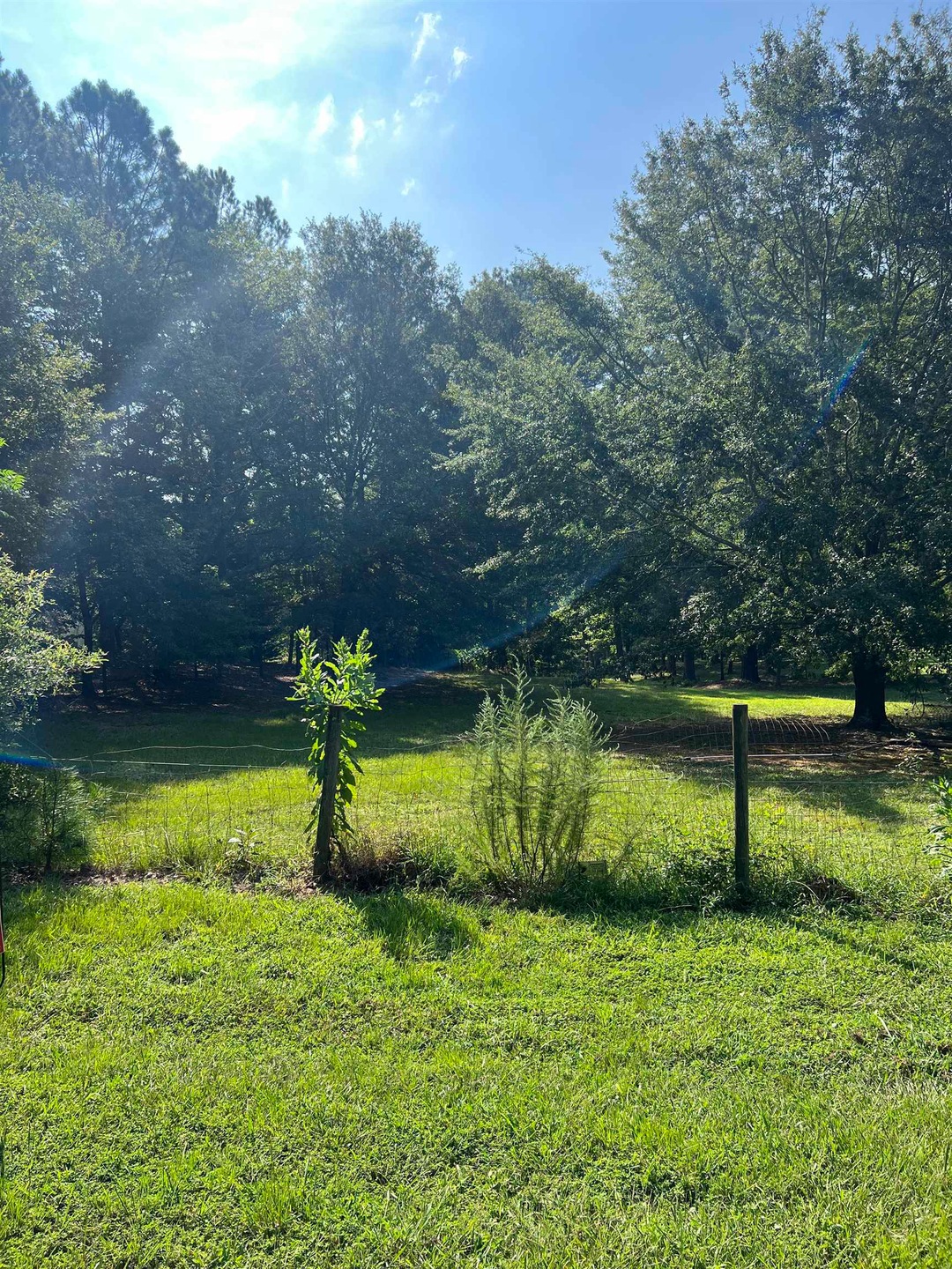 0 Stock Gap Rd unit 10196152, Monroe, GA 30656 - photo 1