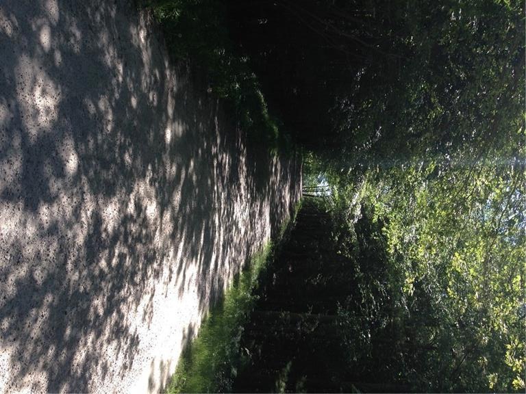 Shaydon Lane